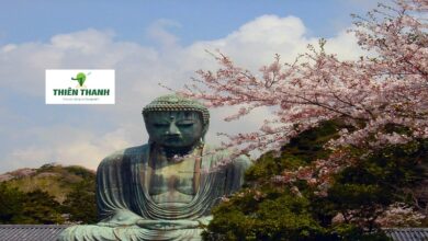 Du Lịch Nhật Bản - Tượng Đại Phật Kamakura Daibutsu