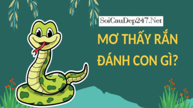 Mơ Thấy Rắn Hổ Mang Đánh Con Gì?