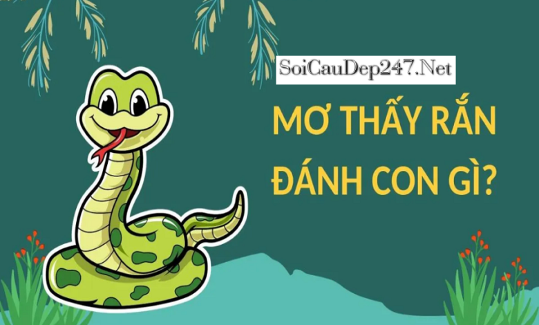 Mơ Thấy Rắn Hổ Mang Đánh Con Gì?